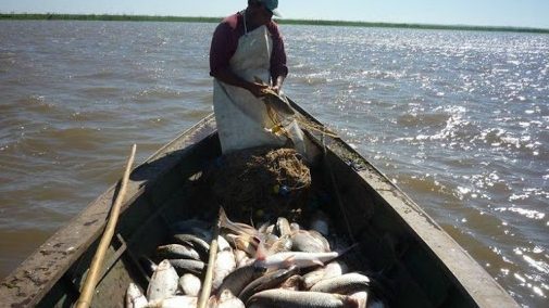 Nueva Metodolog A En La Pesca Comercial Y Deportiva El Agrario