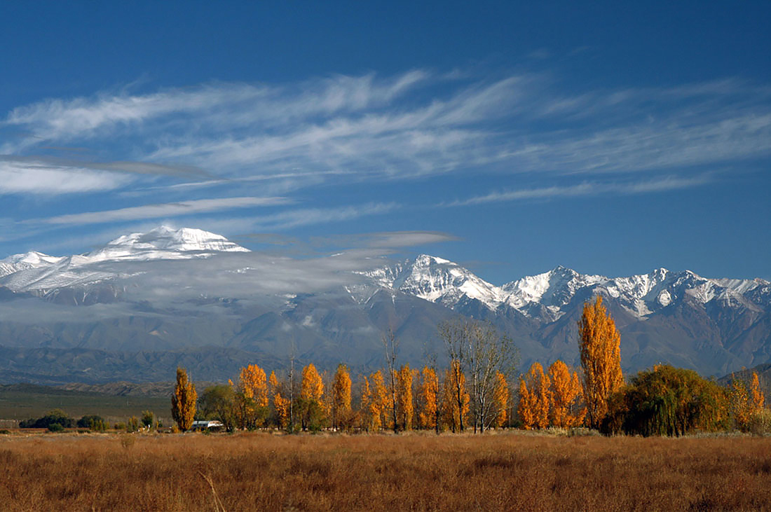  En esta temporada invernal, Mendoza busca recuperar la industria turística cumpliendo con los protocolos y vacunando al personal del sector.