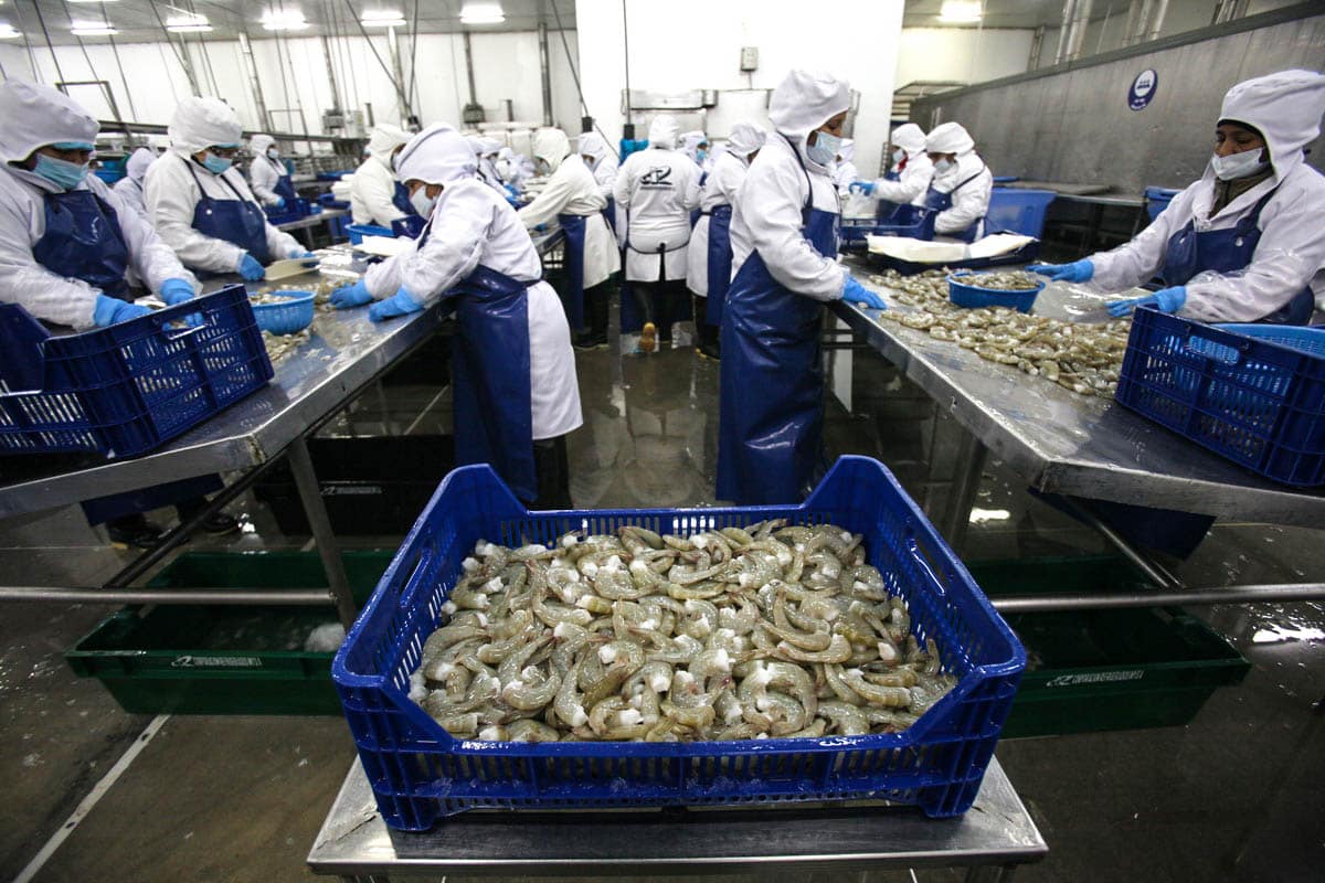 Los trabajadores del Somu impidieron que los camiones lleguen a las plantas procesadoras de langostinos.