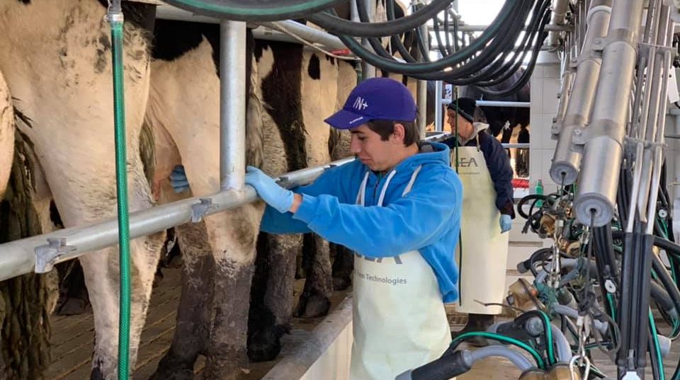 Proyectan crecimiento en la producción tambera. Foto: Escuela Superior de Lechería de Colonia Suiza