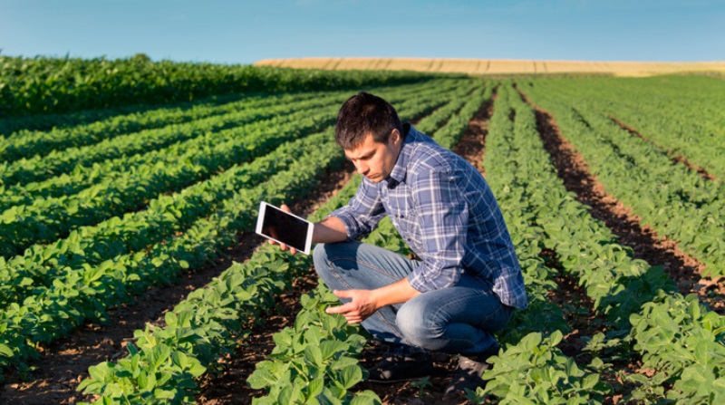  El Ingeniero Agrónomo se forma en las disciplinas vinculadas a la agricultura, la ganadería, y el sector agroindustrial  Foto: INTA
