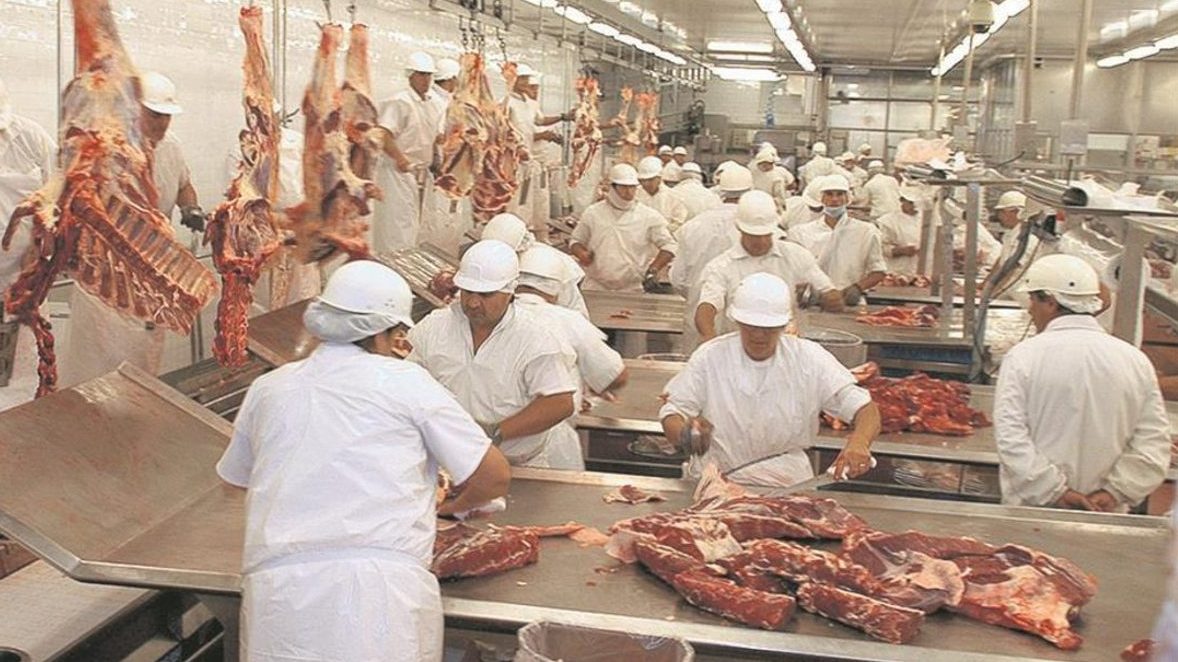 El 2020 culmina con aumento en la producción de carne El Agrario