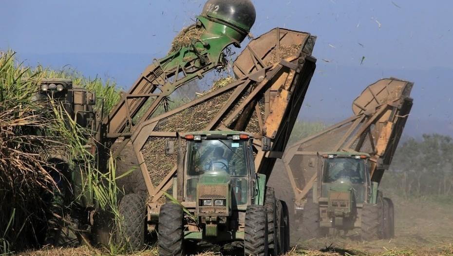  Cañeros de Jujuy y Salta: 'plantas productoras de biocombustibles corren riesgo de desaparecer si no se prorroga la ley'. Foto: Ucijs.